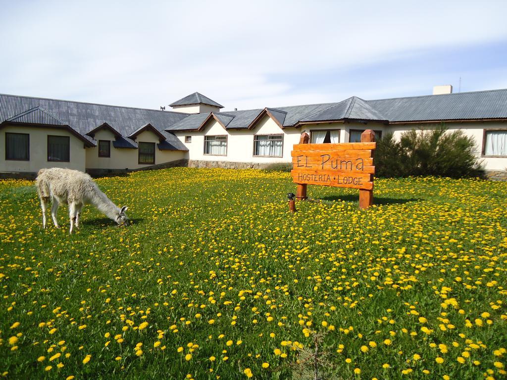 Hosteria El Puma El Chaltén Exterior foto