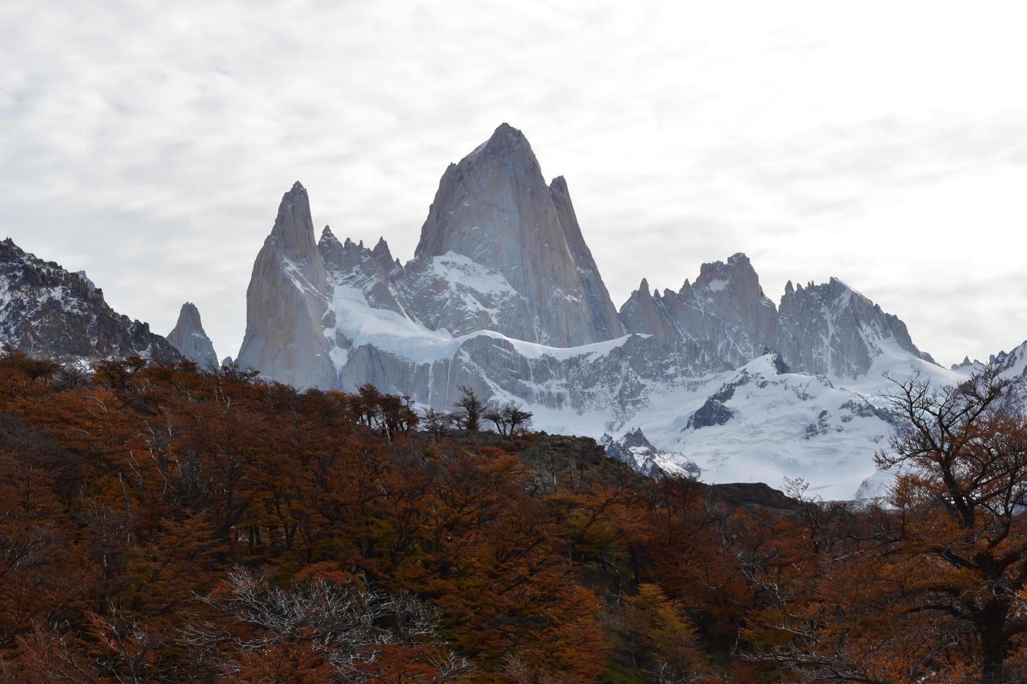 Hosteria El Puma El Chaltén Exterior foto